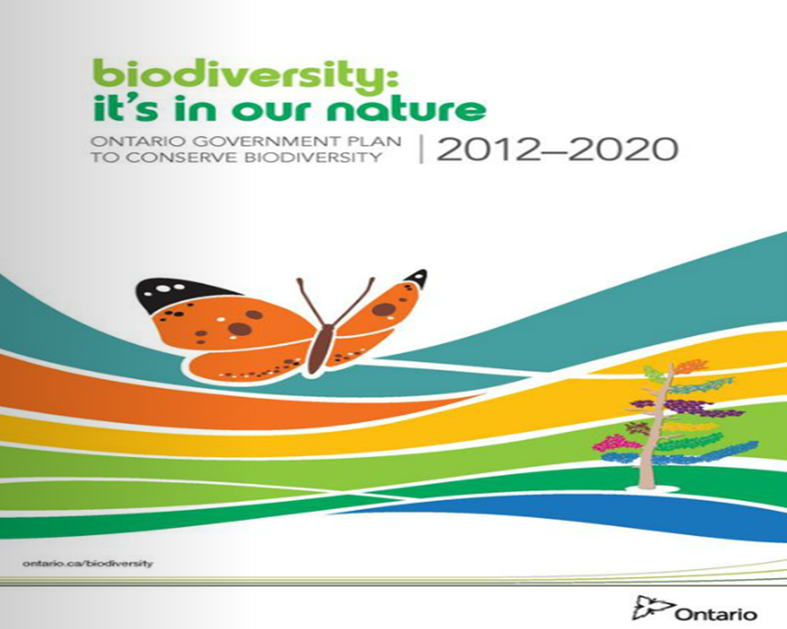 Ontario biodiversity strategy 2012