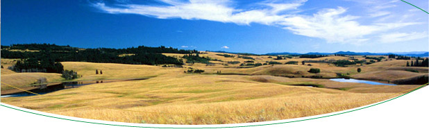 flag-grasslands.jpg